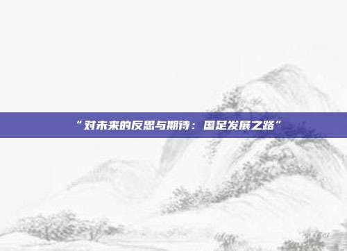 “对未来的反思与期待：国足发展之路”