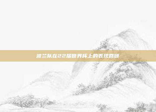 波兰队在22届世界杯上的表现回顾