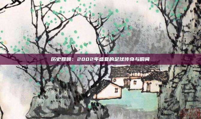 历史回顾：2002年盛夏的足球传奇与瞬间