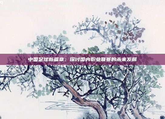 中国足球新篇章：探讨国内职业联赛的未来发展