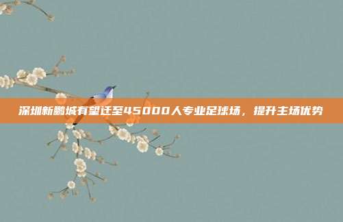 深圳新鹏城有望迁至45000人专业足球场，提升主场优势