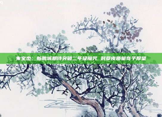 朱宝杰：新鹏城期待突破二年级魔咒 对草皮质量寄予厚望