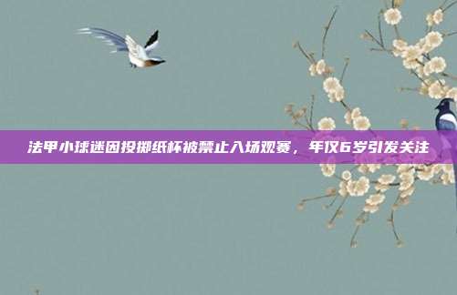 法甲小球迷因投掷纸杯被禁止入场观赛，年仅6岁引发关注