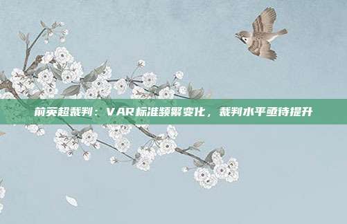 前英超裁判：VAR标准频繁变化，裁判水平亟待提升