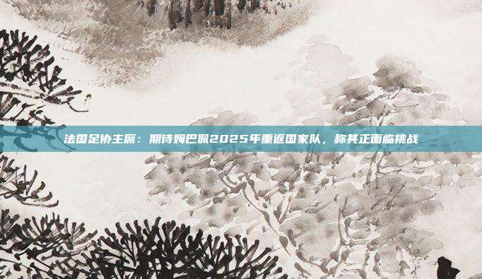 法国足协主席：期待姆巴佩2025年重返国家队，称其正面临挑战