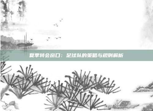 夏季转会窗口：足球队的策略与规则解析