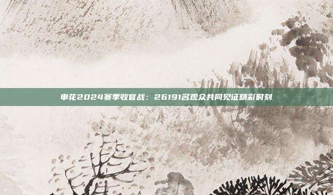 申花2024赛季收官战：26191名观众共同见证精彩时刻