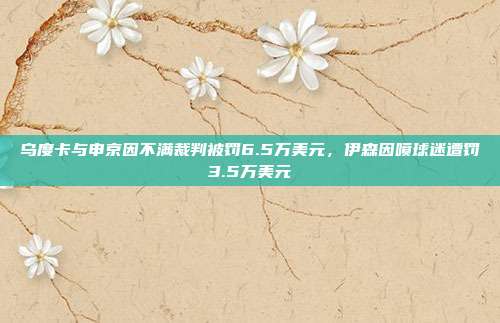 乌度卡与申京因不满裁判被罚6.5万美元，伊森因喷球迷遭罚3.5万美元