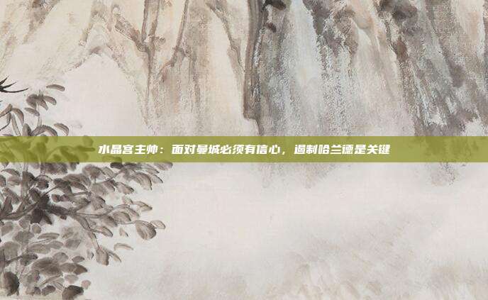 水晶宫主帅：面对曼城必须有信心，遏制哈兰德是关键