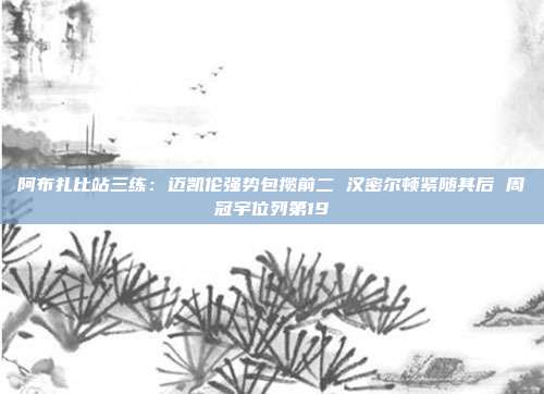 阿布扎比站三练：迈凯伦强势包揽前二 汉密尔顿紧随其后 周冠宇位列第19