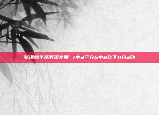 张镇麟半场表现亮眼 7中3三分5中2砍下11分3助