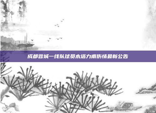 成都蓉城一线队球员木塔力甫伤情最新公告