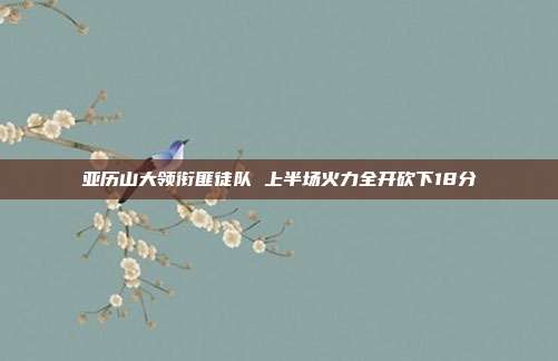 亚历山大领衔匪徒队 上半场火力全开砍下18分