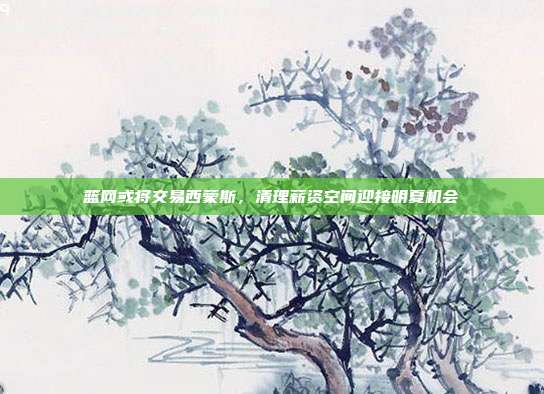 篮网或将交易西蒙斯，清理薪资空间迎接明夏机会