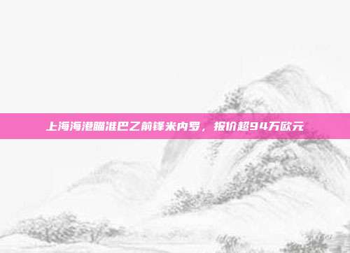 上海海港瞄准巴乙前锋米内罗，报价超94万欧元