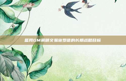 篮网GM阐明交易施罗德的长期战略目标