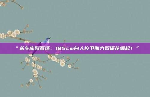 “从车库到赛场：185cm白人控卫助力双探花崛起！”