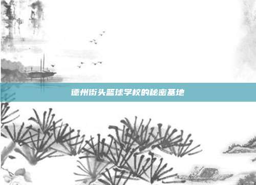 德州街头篮球学校的秘密基地