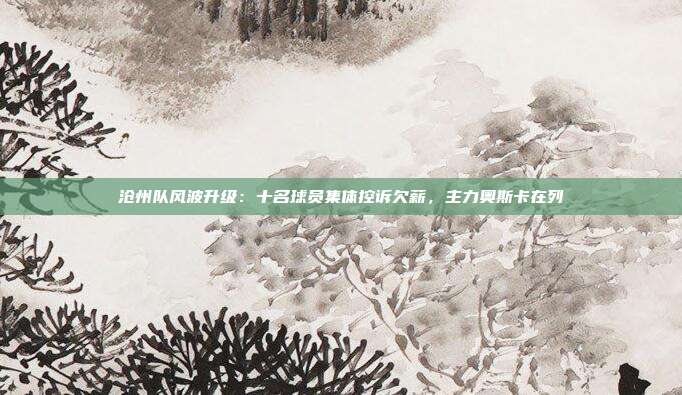 沧州队风波升级：十名球员集体控诉欠薪，主力奥斯卡在列