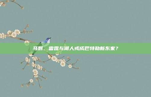 马刺、雷霆与湖人或成巴特勒新东家？