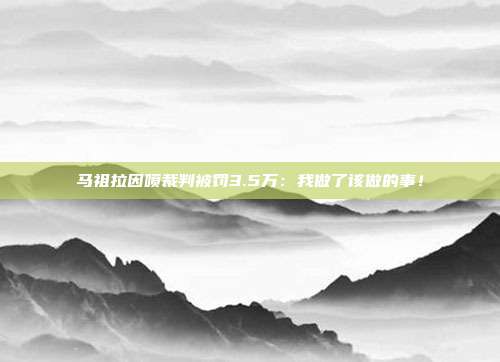 马祖拉因喷裁判被罚3.5万：我做了该做的事！