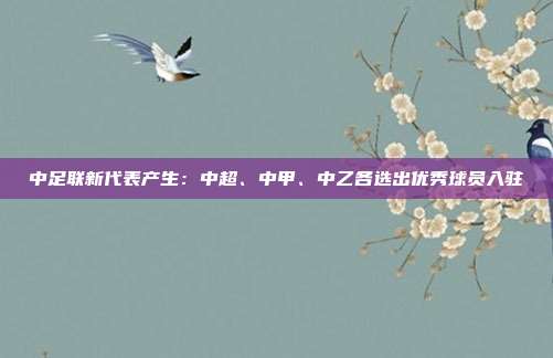 中足联新代表产生：中超、中甲、中乙各选出优秀球员入驻