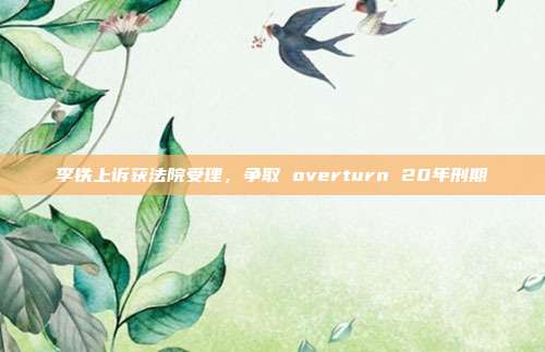 李铁上诉获法院受理，争取 overturn 20年刑期