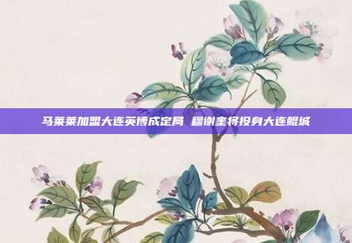 马莱莱加盟大连英博成定局 穆谢奎将投身大连鲲城