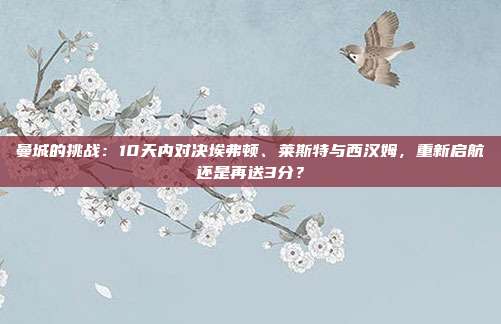 曼城的挑战：10天内对决埃弗顿、莱斯特与西汉姆，重新启航还是再送3分？