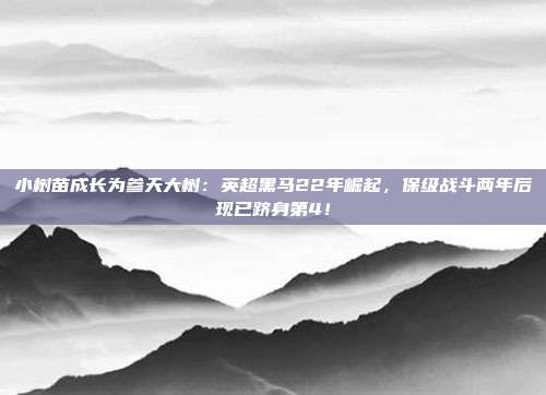 小树苗成长为参天大树：英超黑马22年崛起，保级战斗两年后现已跻身第4！