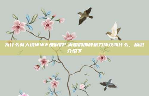 为什么有人说WWE是假的?,美国的那种暴力摔跤叫什么，稍微介绍下