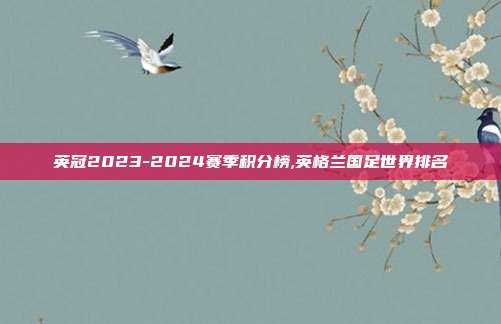 英冠2023-2024赛季积分榜,英格兰国足世界排名