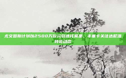 尤文图斯计划以2500万欧元引进托莫里，丰塞卡关注达尼洛转会动态