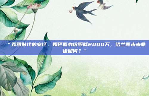 “双骄时代的变迁：姆巴佩身价骤降2000万，哈兰德未来命运如何？”