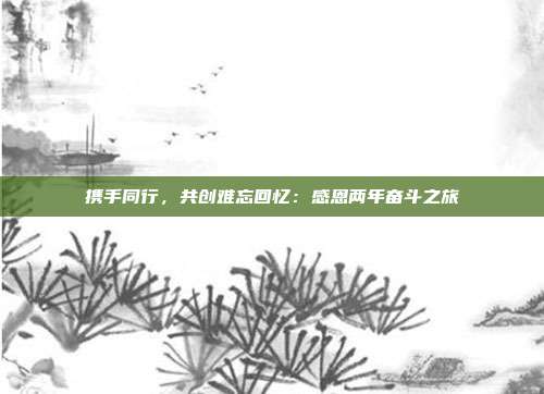 携手同行，共创难忘回忆：感恩两年奋斗之旅