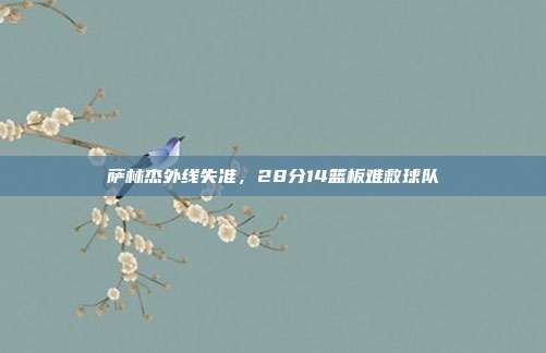 萨林杰外线失准，28分14篮板难救球队