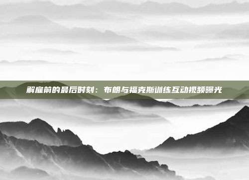 解雇前的最后时刻：布朗与福克斯训练互动视频曝光