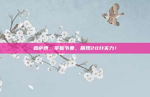 森萨博：掌握节奏，展现20分实力！