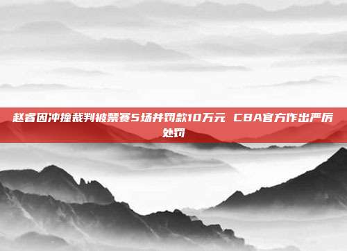 赵睿因冲撞裁判被禁赛5场并罚款10万元 CBA官方作出严厉处罚