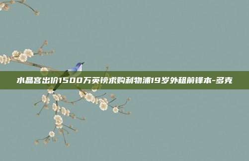 水晶宫出价1500万英镑求购利物浦19岁外租前锋本-多克