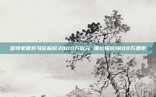 多特蒙德对马伦标价3000万欧元 维拉报价1800万遭拒